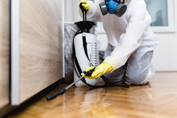 Best Emergency Pest Control  in Center Point, IA