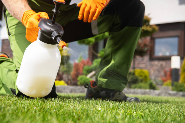 Best Insect Control  in Center Point, IA