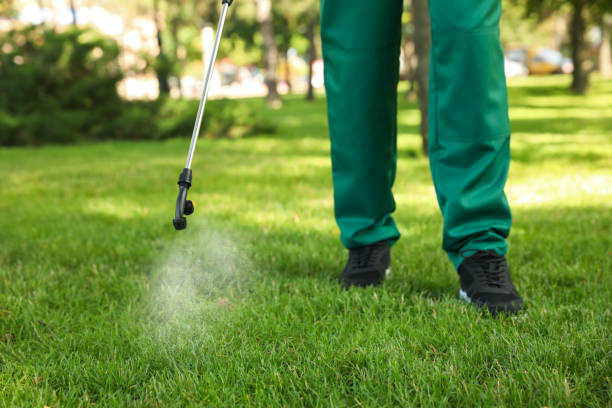 Best Ant Control Services  in Center Point, IA