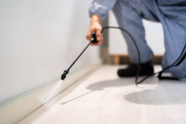 Best Pest Prevention Services  in Center Point, IA
