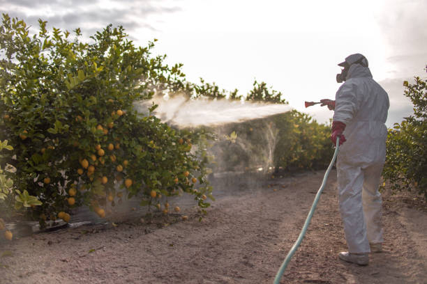 Best Local Pest Control Services  in Center Point, IA