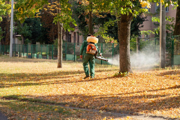 Best Cockroach Control Services  in Center Point, IA