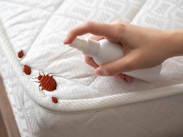 Best Commercial Pest Control Services  in Center Point, IA