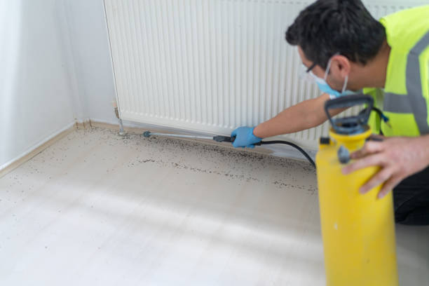 Best Affordable Pest Control Services  in Center Point, IA
