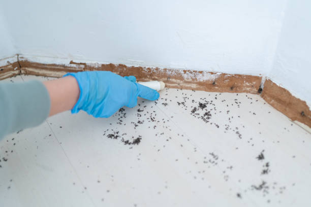 Best Residential Pest Control  in Center Point, IA