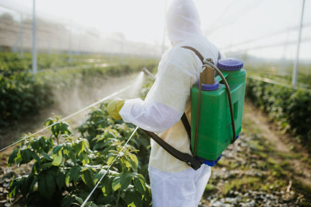 Professional Pest Control in Center Point, IA